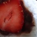 라베또 | 생방송투데이 과일 찹쌀떡 가게 김포 라베또 택배 주문 문의 연락처 살맛나는오늘 추적 네모왕