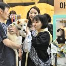 베이비펫 이미지