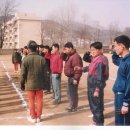 서화대대
