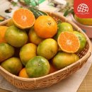 야미하우스 이미지