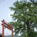 성사영묘 이미지