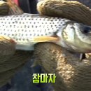 샘물분식 이미지