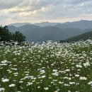 천상의 산들정원