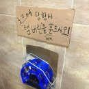 광주동명동맛집해수 어쩌다보니 내돈내산 재방문한 솔직 후기