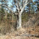 구산축산 이미지