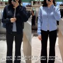 34 | 라코스테 케이블 크루넥 가디건 면 후기 34 36 사이즈 비교 키작녀 실착