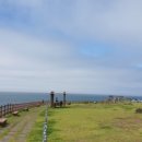 삼양카써비스센타 이미지