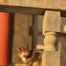 약사사 | 인천 약사사 방문후기 기도 공간이 많아 더 조용했던 사찰