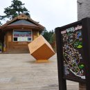 숲에 머물다 이미지