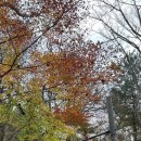 면목동-160 | 서울 둘레길 새 명소 용마산 스카이워크 160m 숲 위 산책로 직접 다녀온 후기