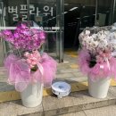 아기별플라워