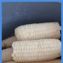 두천농장 이미지