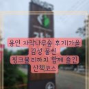 용인 자작나무숲 펜션 | 용인 자작나무숲 후기｜가을 감성 물씬, 핑크뮬리까지 함께 즐긴 산책코스