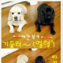 기다리다 이미지