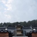 평안꽃식물원 | [성주_심원사]거북이충전소로 채움 찾아 떠난 여행 '성주 심원사 템플스테이' (aka. 일출명소)