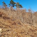 무진장농원 이미지