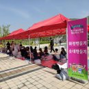 삼월 이미지