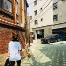 보보투어 이미지
