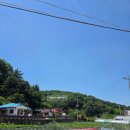 방사부 찐짬뽕