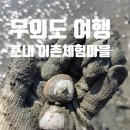 유동어촌체험마을 | 인천 무의도 여행 해루질 갯벌체험 포내 어촌체험마을