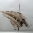 명진카써비스 이미지