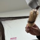 고양이묭실 | 땅이얼었으니펭귄처럼걸어라