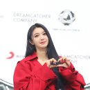 다미컴퍼니 세계일보