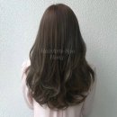 홍스타일 이미지
