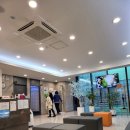 손덕희마취통증의학과의원 이미지