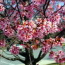 우리메드 이미지