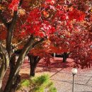 향수 오토캠핑장 이미지