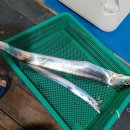 1대물호 이미지