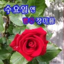 수요일 - 종로구 인사동길 36 | 수요일