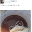 개구리커피