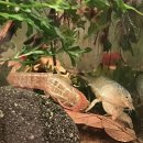 여울목 아쿠아 이미지