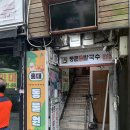 너구리와 여우소굴 | [서울] 홍대동물원 * 악동애니멀힐링카페 / 서울 실내 동물원 / 라쿤 / 미어캣 / 알파카