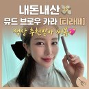 더래미헤어 | 올리브영 브로우 마스카라 추천 뮤드 인스파이어 스키니 브로우카라 티라떼 내돈내산 솔직후기