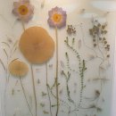 불갑사 산림박물관 이미지