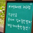 도날드앤썸머 이미지