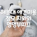멍멍친구 애견샵 | 해운대 애견미용 장모치와와 전체 3mm컷 멍멍부띠끄