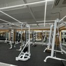 포스 피트니스 이미지