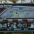 요천생태습지공원 애견놀이터 네이버블로그