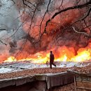 양재대로(남부순환로) 이미지