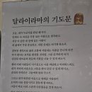 보성 대원사 티벳트문화원 이미지