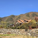 평창 백룡동굴 이미지