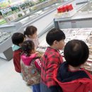 둥이마트 이미지