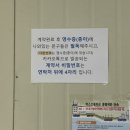 ㈜제주다움렌트카 | 제주다움 렌트카 내돈내산 후기 (셔틀시간,사전체크인,보험가입,반납)
