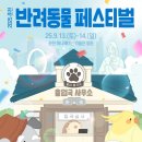 춘천시동물보호센터 | 2025 춘천 반려동물 페스티벌: 봄내발자국에서 역대급 추억 만들어요!