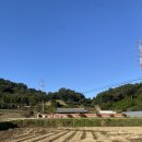 고요히 민박 이미지