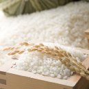 농업기술센터 흥해청사 이미지